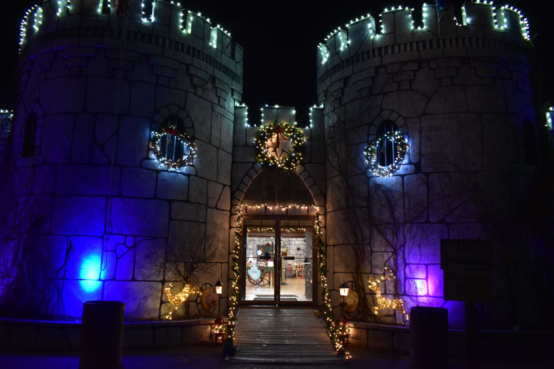 Castle christmas (copy)